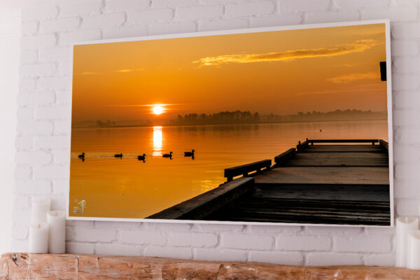 Morning Mallards - Image 2