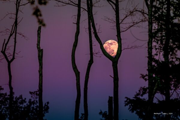 Moon Sling Shot