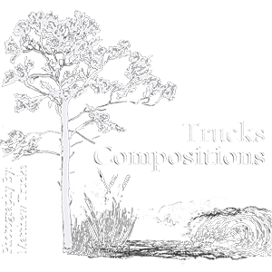 Trucks Compositions